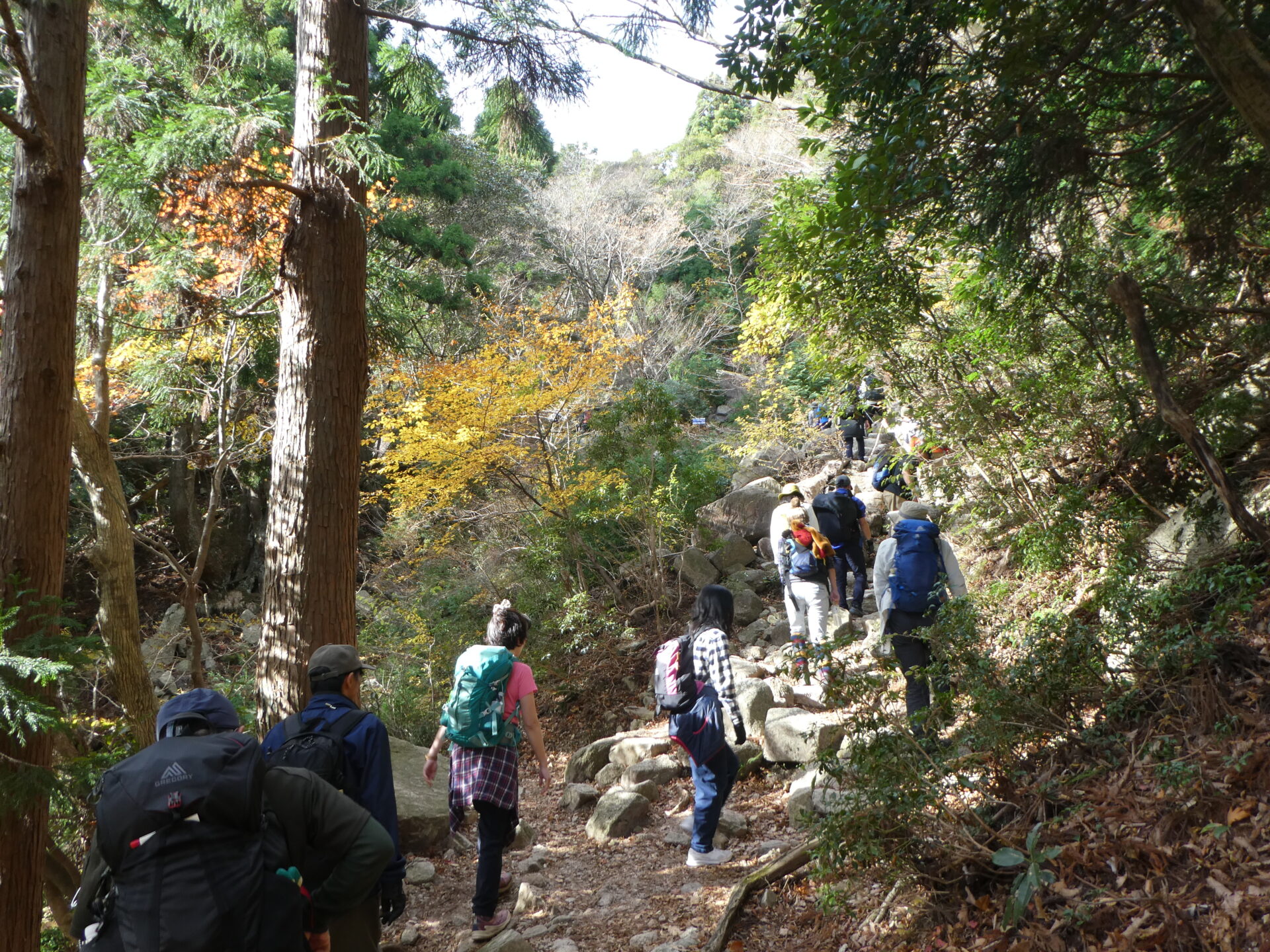 御在所岳の紅葉