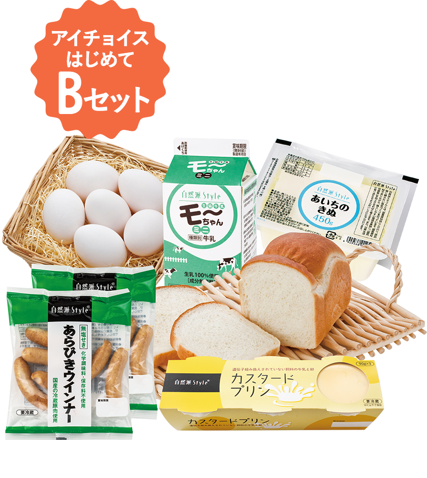 アイチョイスはじめてBセット