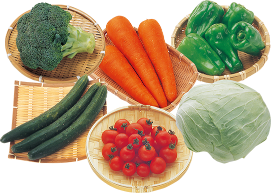 安心安全のお野菜セット